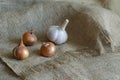 A group of raw brown onion and garlic bulbs on the sack Royalty Free Stock Photo