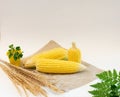 The group of raw yellow sweet corn stalks on the sackcloth Royalty Free Stock Photo