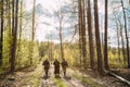 Re-enactors Dressed As Soviet Russian Red Army Infantry Soldiers Of World War II Marching Along Forest Road At Spring