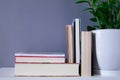 Group of reading books on grey background and green plant Royalty Free Stock Photo