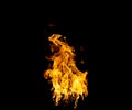 Group of real and hot flames are burning on a black background Royalty Free Stock Photo