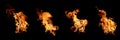Group of real and hot flames are burning on a black background Royalty Free Stock Photo