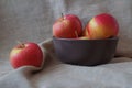 Group of red apples in brown bowl Royalty Free Stock Photo