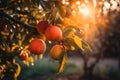 A group of red apples hanging from a tree. Generative AI image.