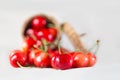 Group of red cherries falling from wicker basket Royalty Free Stock Photo