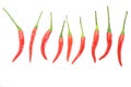 Group of red chilies Royalty Free Stock Photo