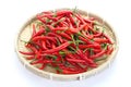 Group of red chilies Royalty Free Stock Photo