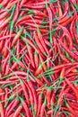 Group of red chilies Royalty Free Stock Photo