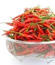 Group of red chilies Royalty Free Stock Photo