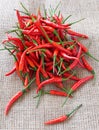 Group of red chilies Royalty Free Stock Photo