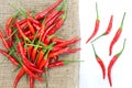 Group of red chilies Royalty Free Stock Photo