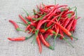 Group of red chilies Royalty Free Stock Photo