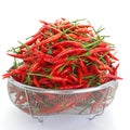 Group of red chilies Royalty Free Stock Photo