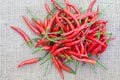 Group of red chilies Royalty Free Stock Photo