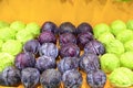 Purple cabbage and green cabbage Royalty Free Stock Photo