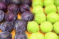 Purple cabbage and green cabbage Royalty Free Stock Photo