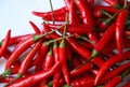 Selective focus of group the red hot chili pepper Royalty Free Stock Photo