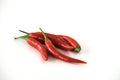 Group of red hot chili peppers isolated on the white background. Selective focus. Royalty Free Stock Photo