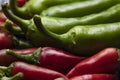 Group of Red hot chilli peppers close-up Royalty Free Stock Photo