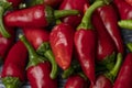 Group of Red hot chilli peppers close-up Royalty Free Stock Photo