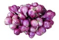 Group of Red Onion Royalty Free Stock Photo