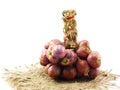 Group of red onion on a white background Royalty Free Stock Photo