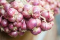 group of red onions Royalty Free Stock Photo