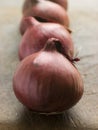Group Of Red Onions Royalty Free Stock Photo