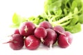 Group of red radishes Royalty Free Stock Photo