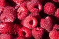 Group of red rasberries close up