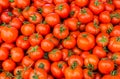Group of red ripe tomatoes