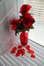 Red roses in red glass vase, with rose petals.. window blind reflections Royalty Free Stock Photo