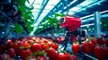 Group of red strawberries sitting on top of conveyor belt. Generative AI