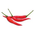 Group of Red Thai chili peppers