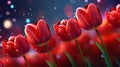 Group of Red Tulips With Water Droplets Royalty Free Stock Photo