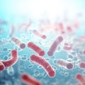 A group of red and white bacteria in a blue background.