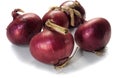 Group of Red whole onions. Fresh Purple Onion on a white background Royalty Free Stock Photo