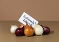 A group of red, yellow and white onions. Blank with the inscription Salmonella bacteria. Outbreak infection linked to