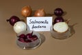 A group of red, yellow and white onions. Blank with the inscription Salmonella bacteria. Outbreak infection linked to