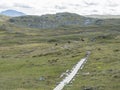 Group of reindeers grazing in arctic tundra grass, hill and rocks. Reindeer in wild in natural environment at footpath Royalty Free Stock Photo