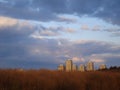 Group of residential towers in Bucharest, seen over park in sunset light Royalty Free Stock Photo