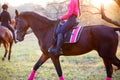 Group of rider girls riding their horses in park Royalty Free Stock Photo