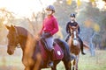 Group of rider girls riding their horses in park Royalty Free Stock Photo