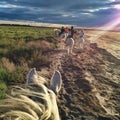 Horseback riding on beach at sunset, Camargue, France