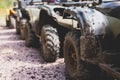 Group of riders riding ATV vehicle crossing forest rural road, process of driving rental vehicle, all terrain quad bike vehicle,