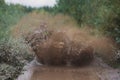 Group of riders riding atv vehicle on off road track, process of driving ATV vehicle, all terrain quad bike vehicle, during Royalty Free Stock Photo