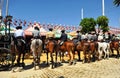 Group of riders during the Seville Fair, Andalusia, Spain Royalty Free Stock Photo