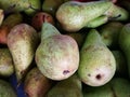 Group of ripe fresh pears Royalty Free Stock Photo