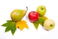 Group of ripe juicy fruit with yellow autumn leafs on white back Royalty Free Stock Photo