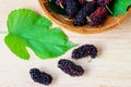 Group of ripe mulberries.